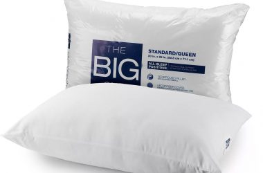 The Big One® Microfiber Pillows Just $2.99!
